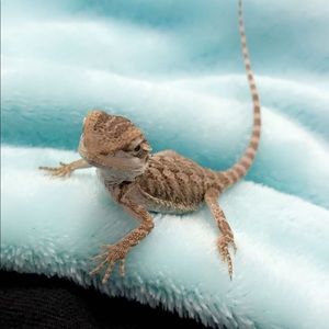 Meet your Posher, May